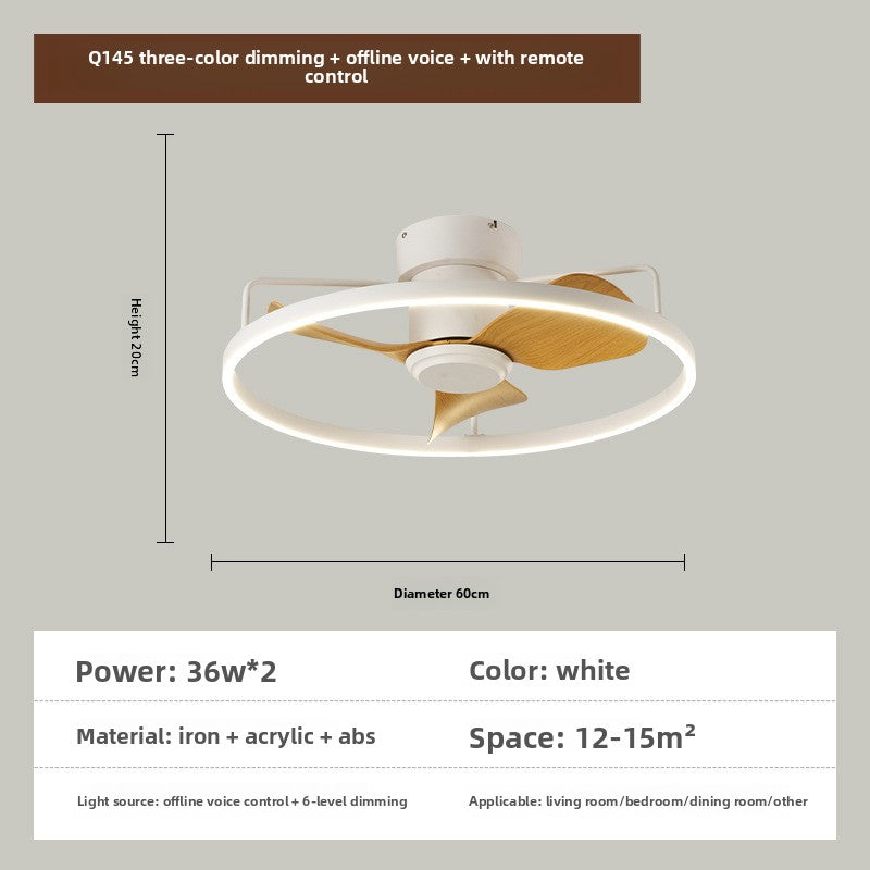 Ceiling fan light