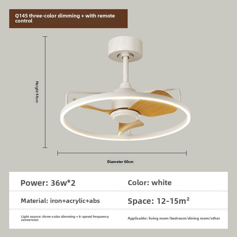 Ceiling fan light