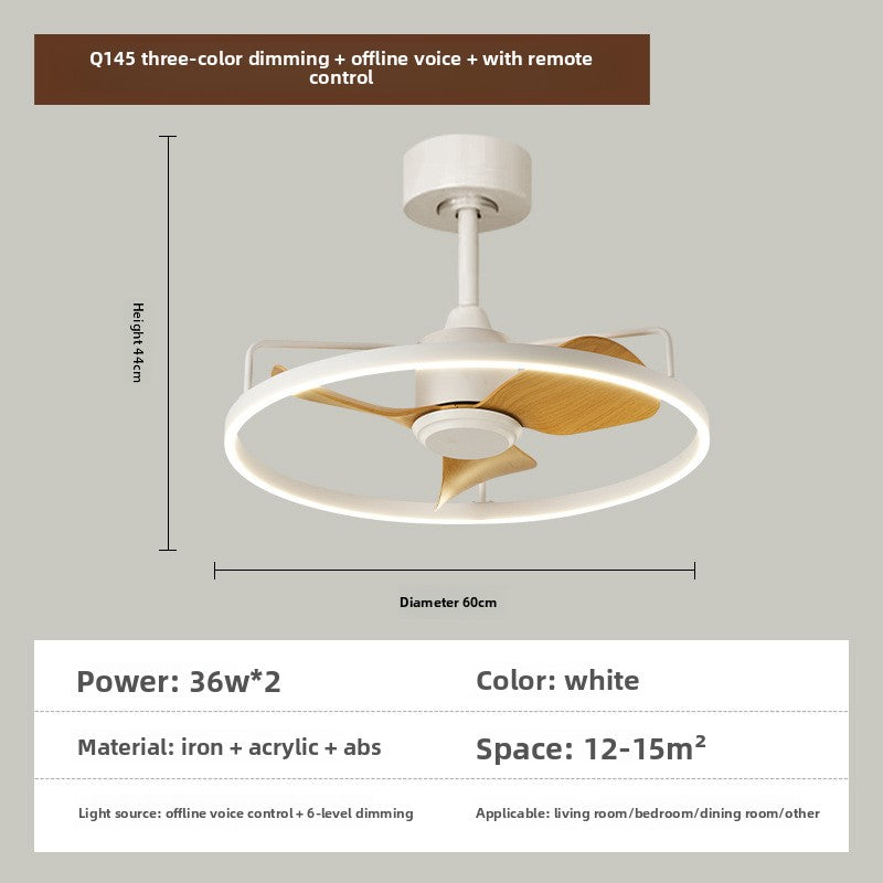 Ceiling fan light
