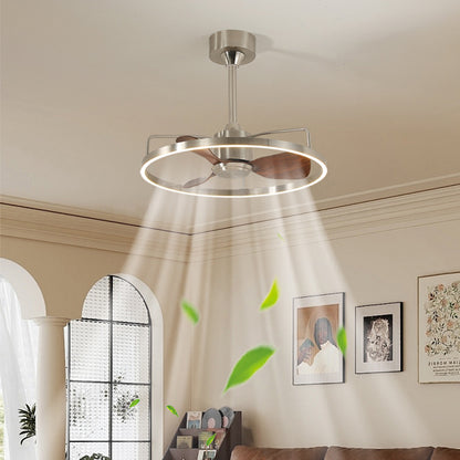 Ceiling fan light