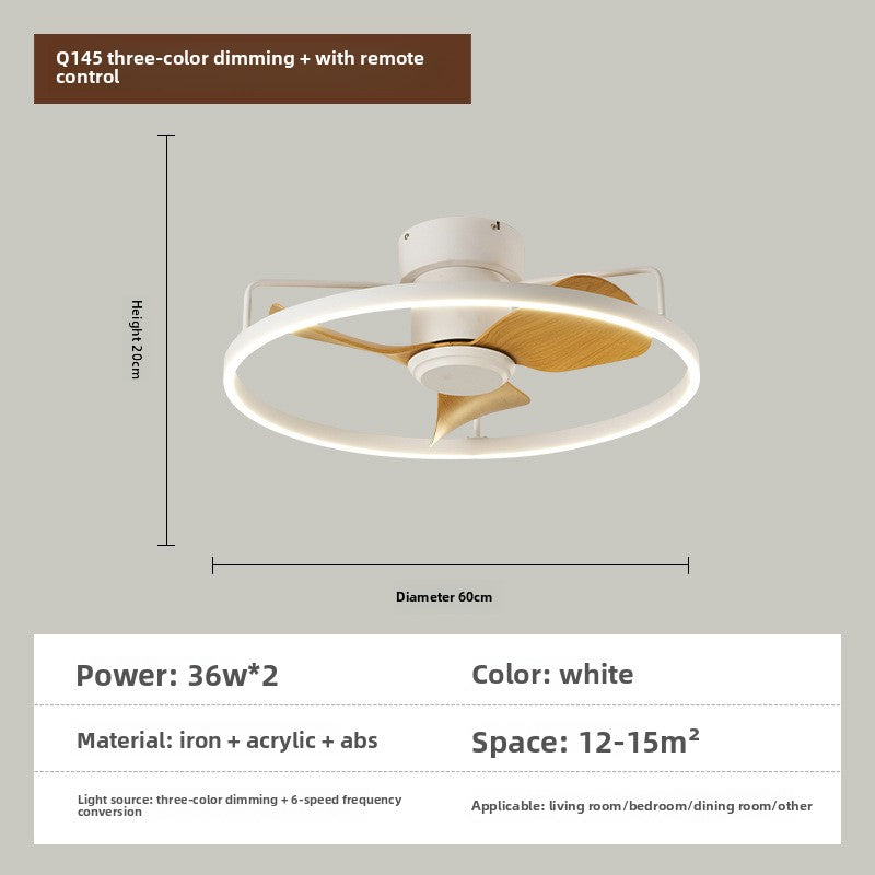 Ceiling fan light