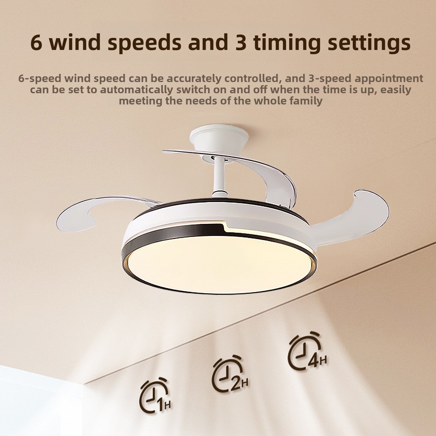 Ceiling Fan Light