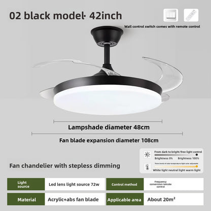 Ceiling Fan Light