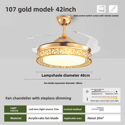 Ceiling Fan Light