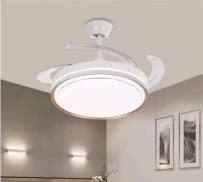 Ceiling Fan Light