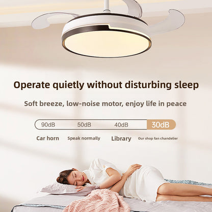 Ceiling Fan Light