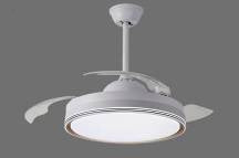Ceiling Fan Light