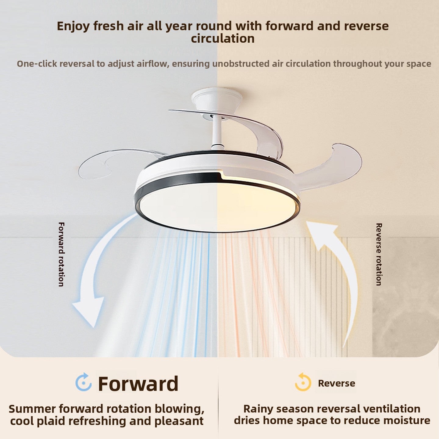 Ceiling Fan Light