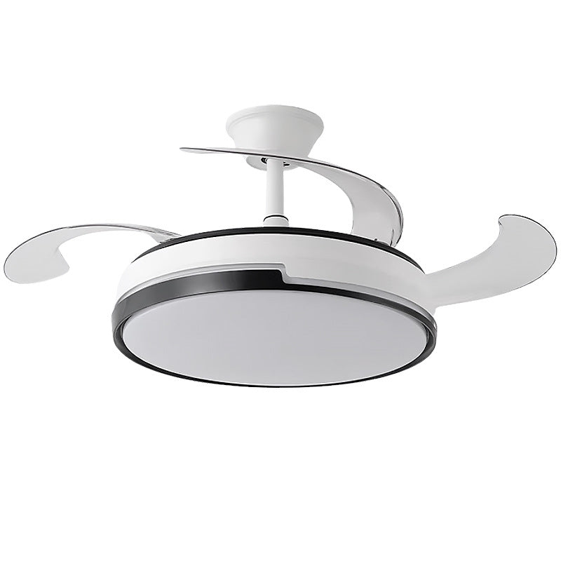 Ceiling Fan Light