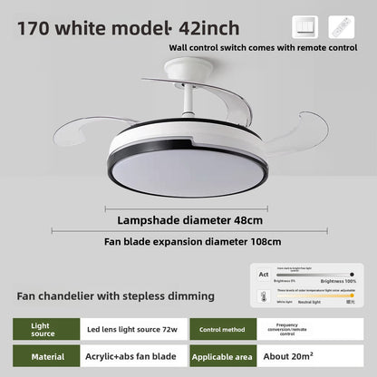 Ceiling Fan Light