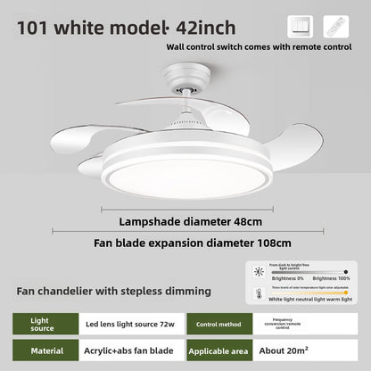 Ceiling Fan Light