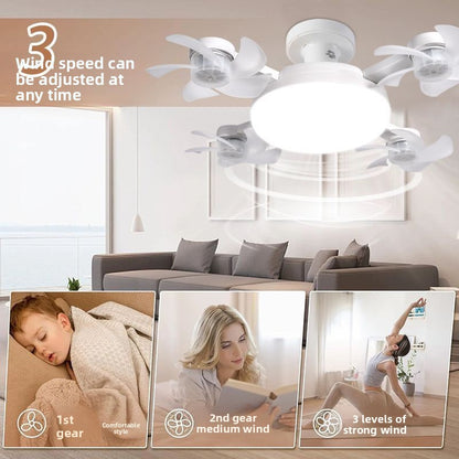 Ceiling Fan Light with Variable Frequency Motor