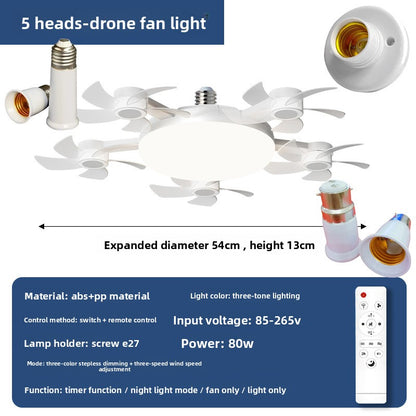 Ceiling Fan Light with Variable Frequency Motor