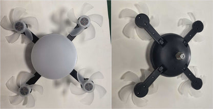 Ceiling Fan Light with Variable Frequency Motor
