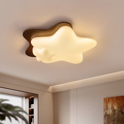 Ceiling Lamps