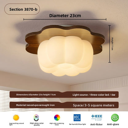 Ceiling Lamps