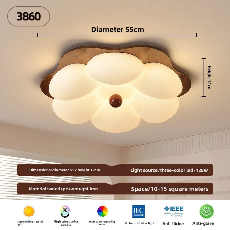 Ceiling Lamps
