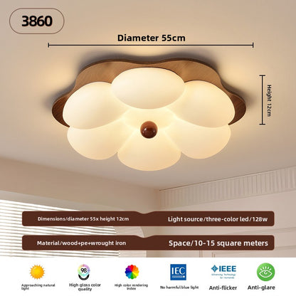 Ceiling Lamps