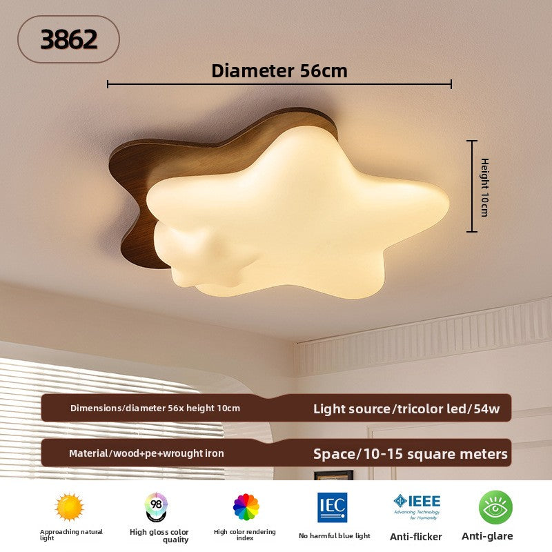 Ceiling Lamps