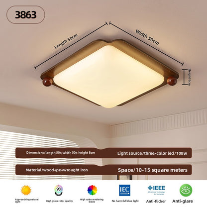 Ceiling Lamps