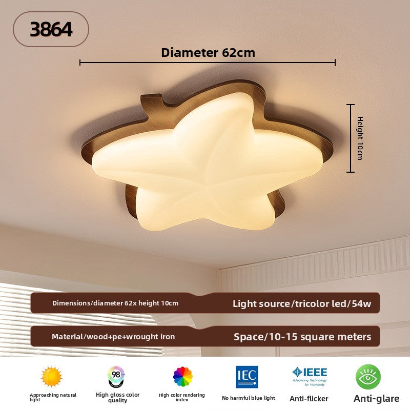 Ceiling Lamps
