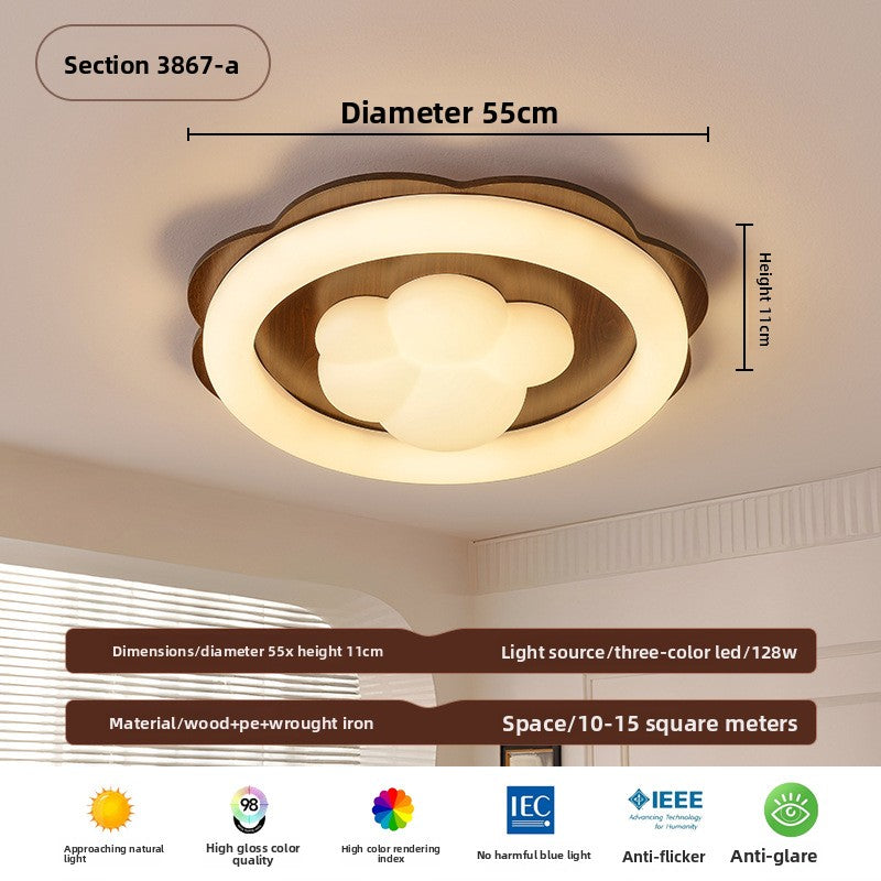 Ceiling Lamps