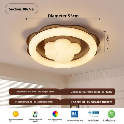 Ceiling Lamps