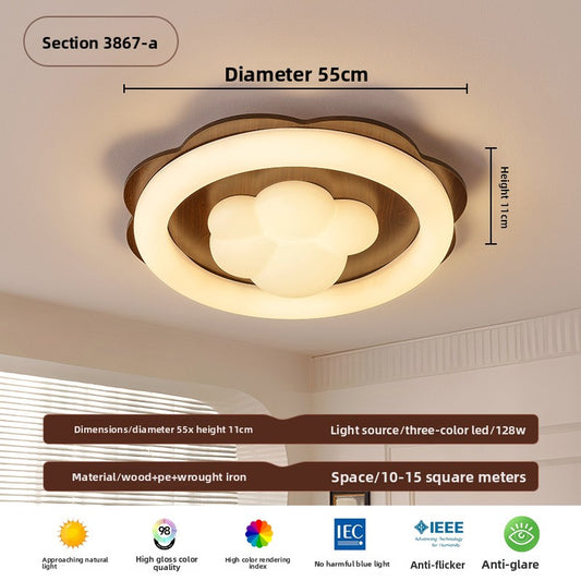 Ceiling Lamps