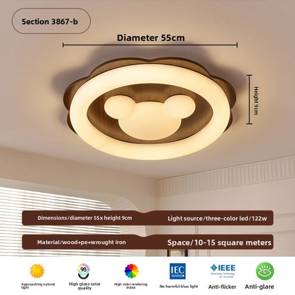Ceiling Lamps