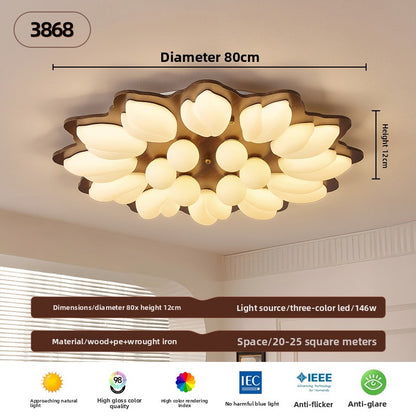 Ceiling Lamps
