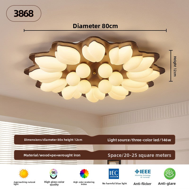 Ceiling Lamps