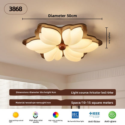 Ceiling Lamps