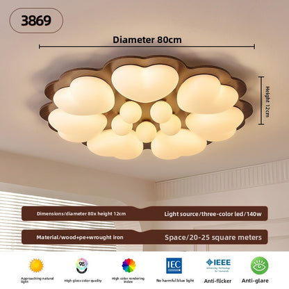 Ceiling Lamps