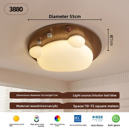 Ceiling Lamps