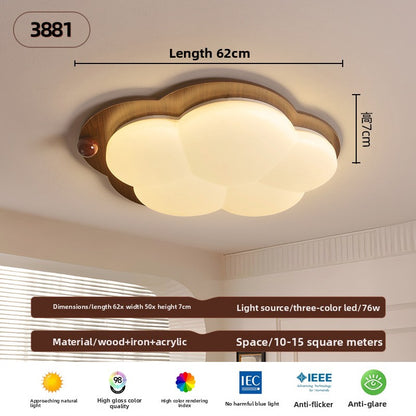Ceiling Lamps