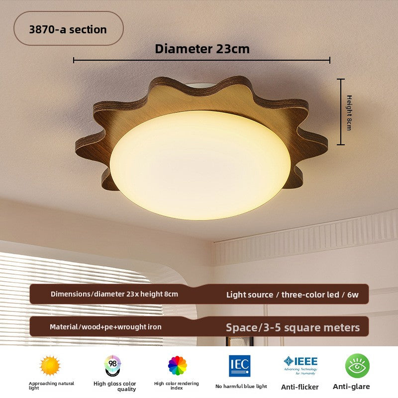 Ceiling Lamps