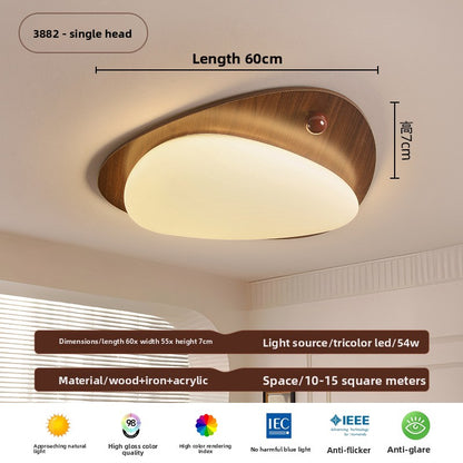 Ceiling Lamps