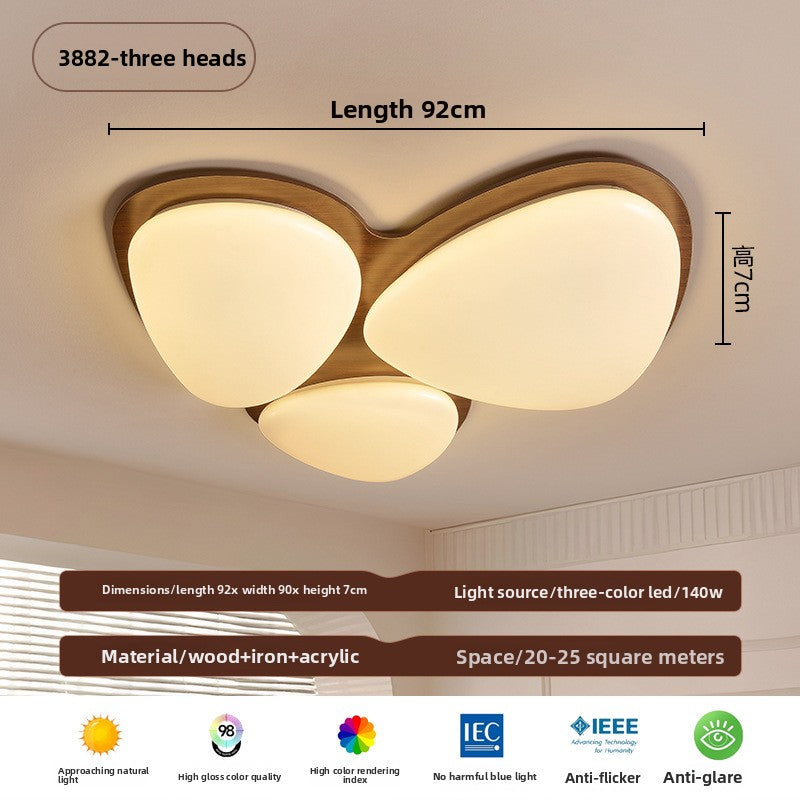 Ceiling Lamps