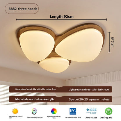 Ceiling Lamps