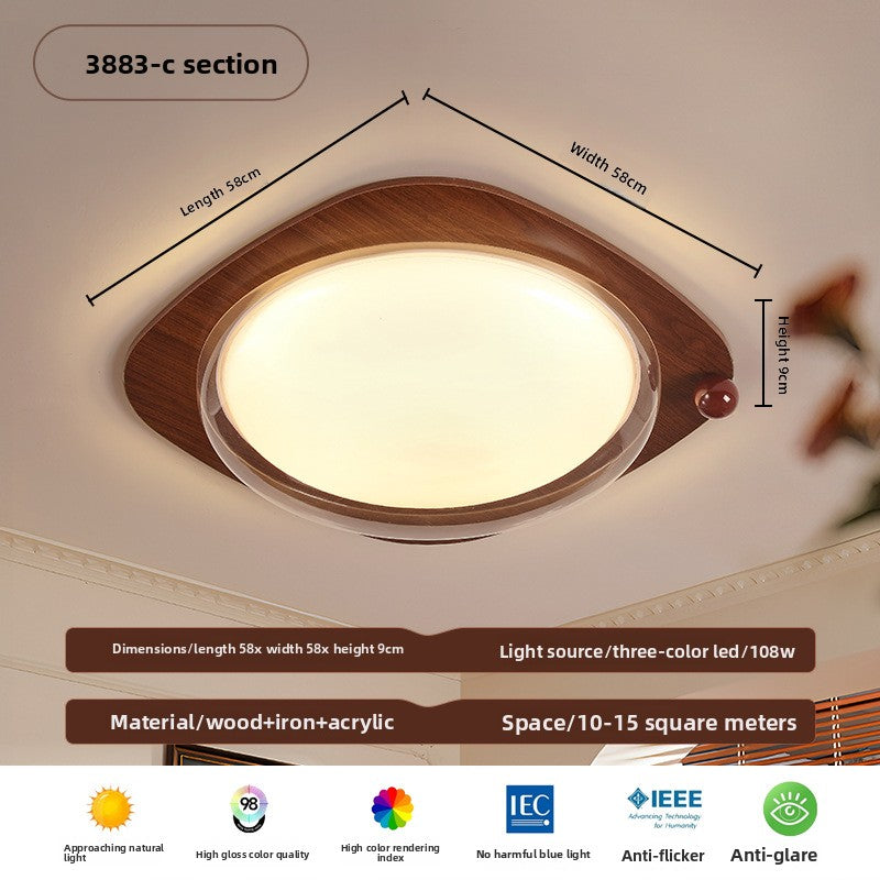 Ceiling Lamps