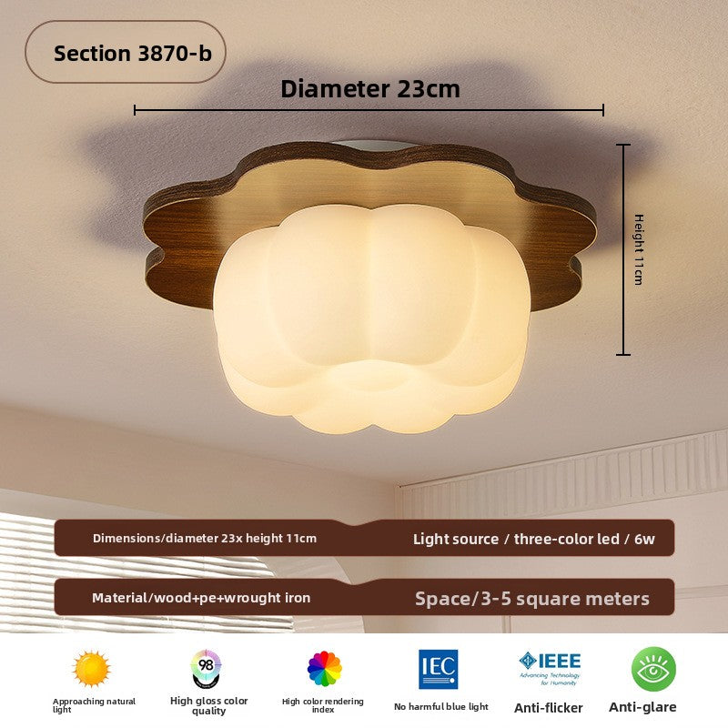 Ceiling Lamps