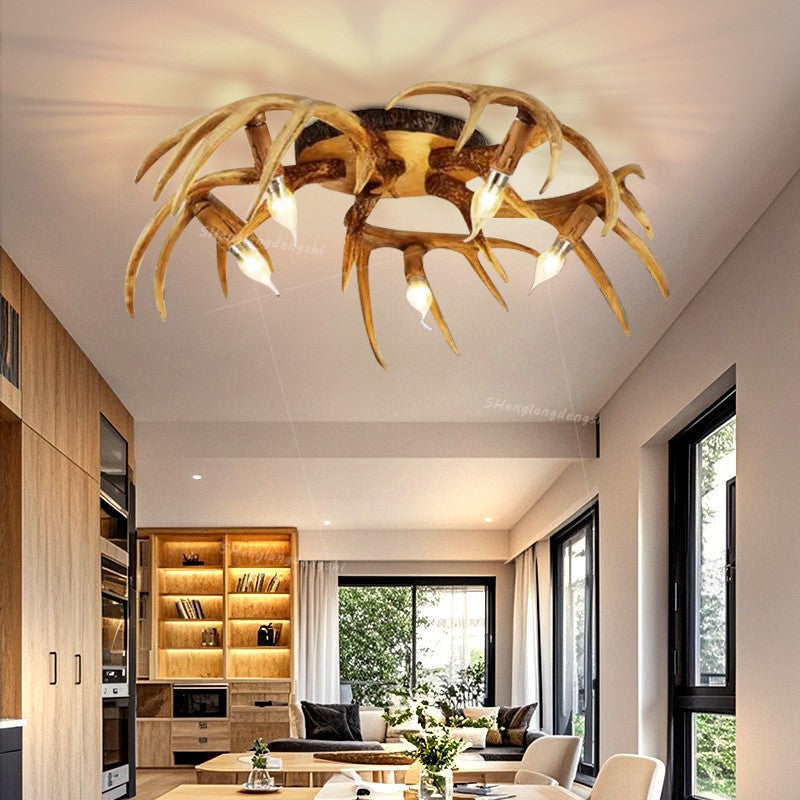 Ceiling Light Fixture