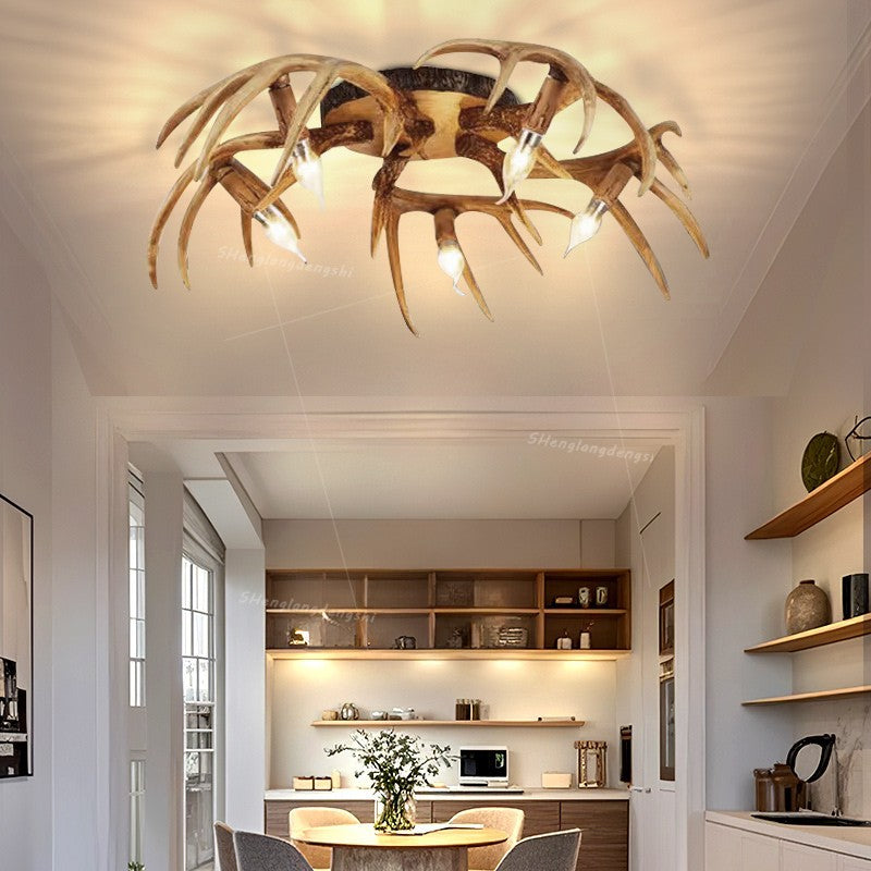 Ceiling Light Fixture