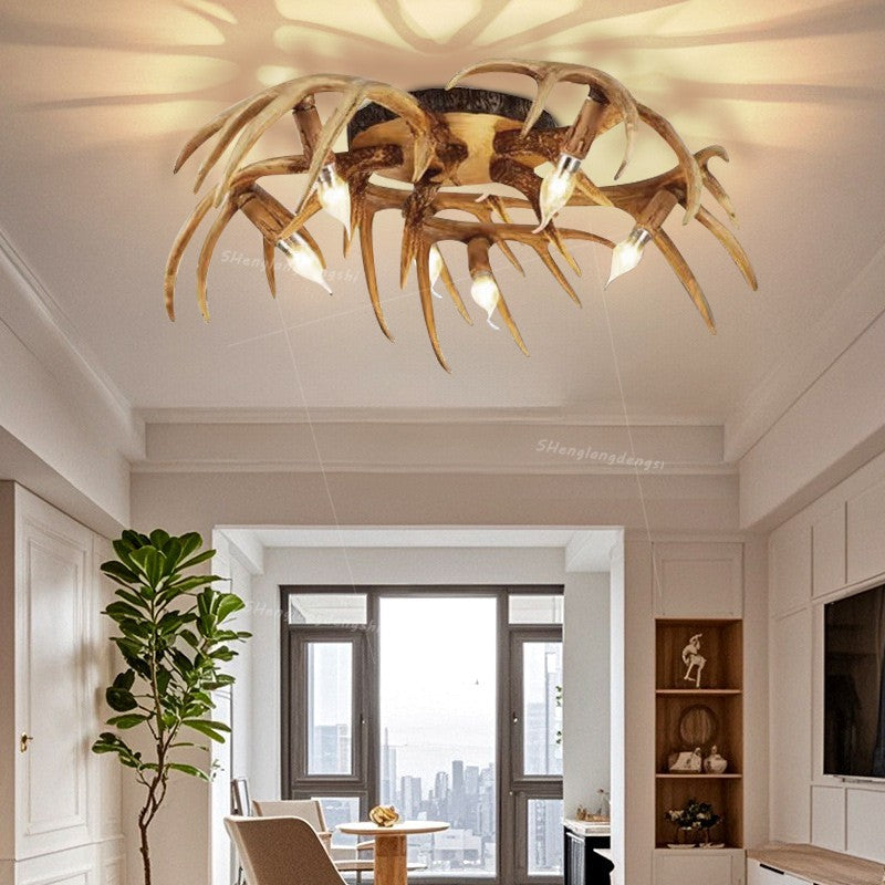 Ceiling Light Fixture