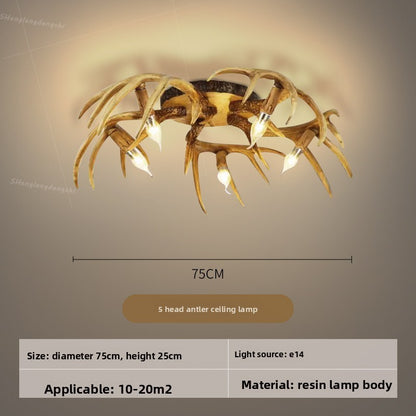 Ceiling Light Fixture