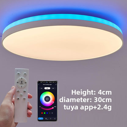 Ceiling Light with Alexa Bluetooth Control