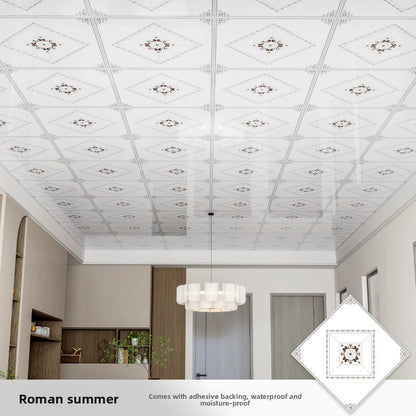 Ceiling self-installation stickers