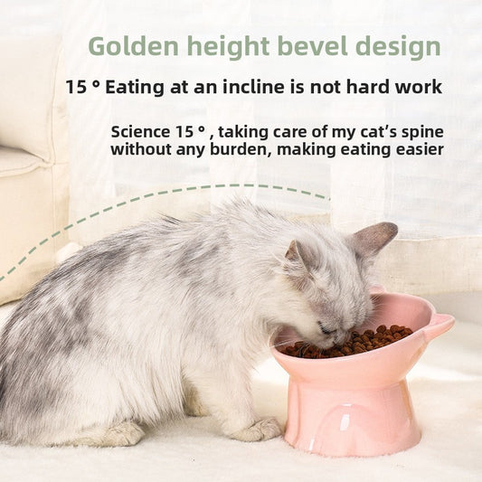Ceramic Anti-Knock Pet Bowl