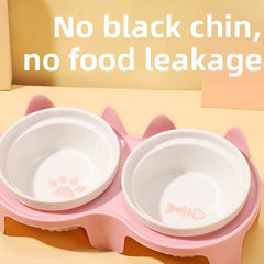 Pink Leakproof Feeder Stand Double Bowl