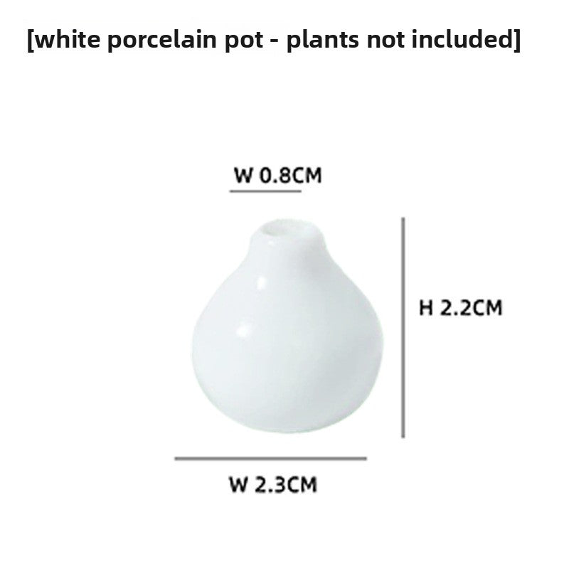 Ceramic Decoration
